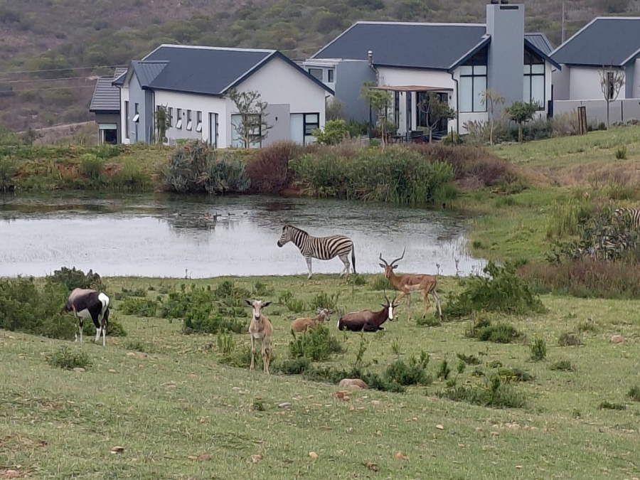 3 Bedroom Property for Sale in Outeniquasbosch Western Cape